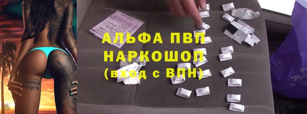 ПСИЛОЦИБИНОВЫЕ ГРИБЫ Верхний Тагил