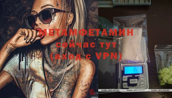 прущая мука Вяземский
