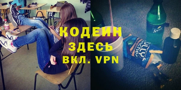 прущая мука Вяземский