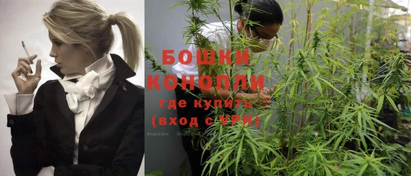 прущая мука Вяземский